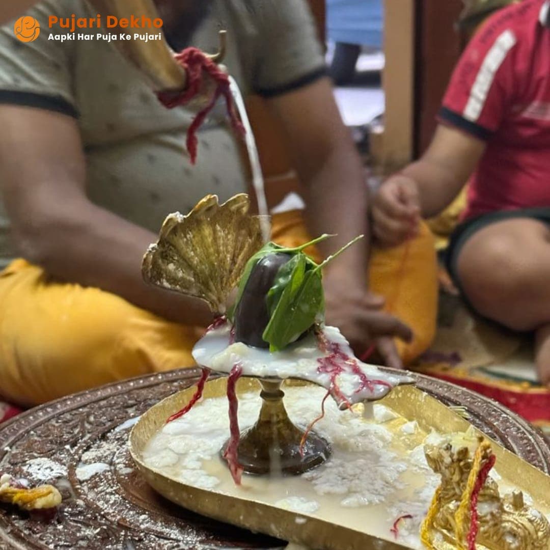 Rudrabhishek Puja detail 2