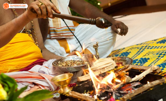 pandit ji in gaur city