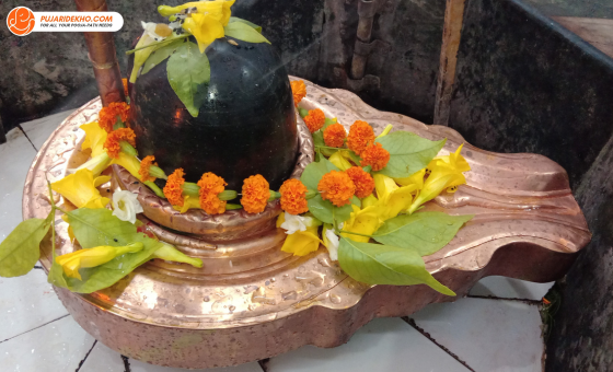 pandit ji in gaur city