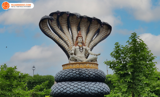 pandit ji in gaur city